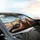 Red Foxes Driving Headphones Desert Highway - Open Road Adventure Gift Car Sunshade - 6