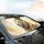 Majestic White Lion Golden Mane – Wildlife Lover Gift Car Sunshade - 6