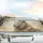 Majestic White Lion Golden Mane – Wildlife Lover Gift Car Sunshade - 5