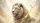 Majestic White Lion Golden Mane – Wildlife Lover Gift Car Sunshade - 7