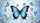 Blue Morpho Butterfly Cherry Blossom - Wildlife Lover Gift Car Sunshade - 7