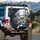 Surprised Tabby Cats Urban Drive - Cat Lover Gift Spare Tire Cover - 3
