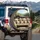 English Bulldog Puppies Sunlit Car Interior Road Trip - Dog Lover Gift Spare Tire Cover - 3