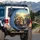 Golden Retriever Tabby Cat Sunglasses Steering Wheel - Road Trip Essentials Gift Spare Tire Cover - 3