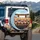 Surprised Fluffy Ginger Cream Cats Bow Ties - Adventure Road Trip Gift Spare Tire Cover - 3