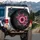 Pink Sunflowers Pink Flowers White Hummingbirds Dark Smoke Clouds - Nature Lover Home Decor Gift Spare Tire Cover - 3