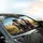 Excited Doberman Dogs High-Speed Adventure - Road Trip Travel Essentials Car Sunshade - 6