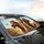 Three Funny Horse Drivers - Road Trip Adventure Gift for Horse Lovers Car Sunshade - 6