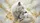 Majestic White Wolves Golden Fur Ethereal Light - Wildlife Lover Gift Car Sunshade - 7