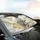 Majestic White Wolves Golden Fur Ethereal Light - Wildlife Lover Gift Car Sunshade - 6