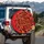 Flame Camouflage Wavy Ribbons - Adventure Lifestyle Spare Tire Cover - 3