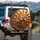 Flowing Metallic Gold Ribbons Liquid Waves Shimmering Bronze Spare Tire Cover - 3
