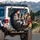Border Collie French Bulldog Driving City Night - Dog Lover Gift Spare Tire Cover - 3