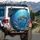 Deep Ocean Sea Turtle Coral Reef Underwater World - Marine Life Decor Gift Spare Tire Cover - 3