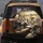 Fluffy Tabby Cats Driving Luxury Car - Cat Lover Decor Gift Spare Tire Cover - 5