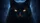 Black Cat Slitted Pupils Luminous Eyes Dark Night - Night Drive Lover Gift Car Sunshade - 7