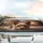 Yorkshire Terrier Dog Indoor Scene - Pet Lover Gift for Yorkie Owner Car Sunshade - 5