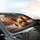 Yorkshire Terrier Dog Indoor Scene - Pet Lover Gift for Yorkie Owner Car Sunshade - 6