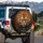 Tiger Face Golden Eyes Water Ripples Orange Black Striped Fur - Wildlife Lover Gift Spare Tire Cover - 3