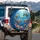 Five Sea Turtles Coral Reef - Ocean Wildlife Lover Gift Spare Tire Cover - 3