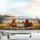 Five Chickens Sunglasses Road Trip - Farm Animal Lover Everyday Drive Gift Car Sunshade - 5