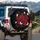 Dark Red Roses Butterflies Glitter Hearts Foliage Decor Gift Spare Tire Cover - 3
