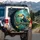 Majestic Toucan Juvenile Bird Tropical Jungle - Wildlife Lover Gift for Birdwatchers Spare Tire Cover - 3