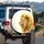 Lion Head Profile Golden Mane Light Streaks - Wildlife Enthusiast Decor Gift Spare Tire Cover - 3