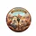 Shiba Inu Dogs Headphones Ukulele Fairground - Dog Lover Gift Spare Tire Cover - 4