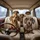Five Dachshunds Driving Luxury Car Urban Scene - Pet Owner Auto Accessory Spare Tire Cover - 6