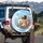 Six Domestic Cats Wildflower Meadow Monarch Butterfly - Cat Lover Decor Gift Spare Tire Cover - 3