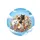 Six Domestic Cats Wildflower Meadow Monarch Butterfly - Cat Lover Decor Gift Spare Tire Cover - 4