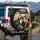 Tuxedo Cats Driving Luxury Car Golden Landscape - Cat Lover Travel Gift Spare Tire Cover - 3