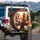Rooster Chicks Driving Road Trip - Farmhouse Decor Bird Lover Gift Spare Tire Cover - 3
