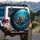 Driving Walrus Sunglasses Starfish Mask Deep Sea Currents - Ocean Lover Wildlife Gift Spare Tire Cover - 3