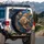 Tropical Fish Golden Coral Seaweed Quilted Fabric Spare Tire Cover - 3