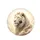 Majestic White Lion Golden Mane Ethereal Golden Light Radiant Background Wildlife Lover Gift Spare Tire Cover - 4