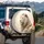Majestic White Lion Golden Mane Ethereal Golden Light Radiant Background Wildlife Lover Gift Spare Tire Cover - 3