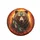 Grizzly Bear Amber Eyes Teal Gold Tribal Feathers Turquoise Beads Golden Ember Gift Spare Tire Cover - 4