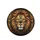 Majestic Lion Head Golden Filigree Teal Jewel Scrollwork - Wildlife Lover Gift Spare Tire Cover - 4