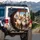 Expressive Fluffy Maine Coon Cats Journey Adventure - Cat Lover Travel Gift Spare Tire Cover - 3