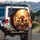 Poodle Dog Family Autumn Landscape Travel Essentials - Pet Owner Gift Spare Tire Cover - 3