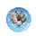 Curious Three Cats Scruffy Dog Floating Clouds Blue Sky - Decor Gift for Pet Lovers Spare Tire Cover - 4
