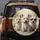 Westie Dog Trio Pink Bow Sunglasses - Pet Lover Decor Gift Spare Tire Cover - 5