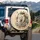 White Lion Crown Flowers Leaves Butterflies - Wildlife Decor Gift Spare Tire Cover - 3