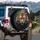 Powerful Tiger Face Piercing Yellow Eyes Deep Black Jungle Wildlife Lover Gift Spare Tire Cover - 3