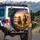 Two Lions in Sunglasses Savanna Sunset Mountains - Adventure Wildlife Gift Spare Tire Cover - 3