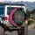 Spider Webs - Wildlife Lover Automotive Style Gift Spare Tire Cover - 3
