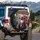 Alpacas Vehicle Cabin Interior Group - Everyday Decor Gift for Animal Lovers Spare Tire Cover - 3