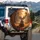 Large Antlered Buck Golden Autumn Forest Dappled Light - Wildlife Lover Gift Spare Tire Cover - 3